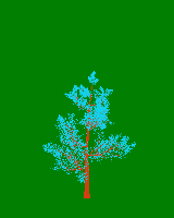 greenshift tree