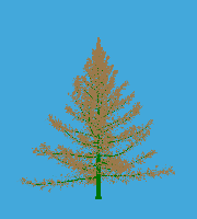 greenshift tree