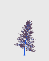 greenshift tree