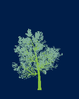 greenshift tree