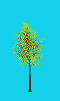 greenshift tree