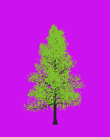 greenshift tree