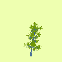 greenshift tree