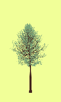 greenshift tree