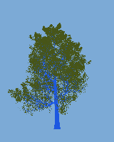 greenshift tree