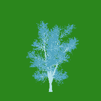 greenshift tree