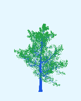 greenshift tree