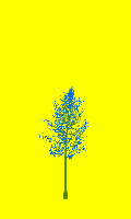 greenshift tree