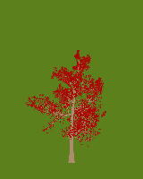 greenshift tree