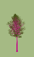 greenshift tree