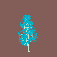 greenshift tree