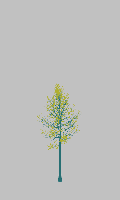 greenshift tree
