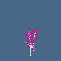 greenshift tree
