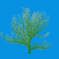 greenshift tree