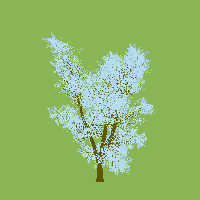 greenshift tree
