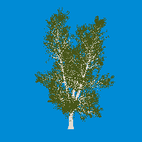 greenshift tree