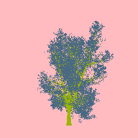 greenshift tree