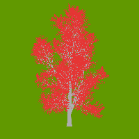 greenshift tree