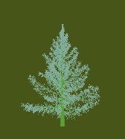 greenshift tree
