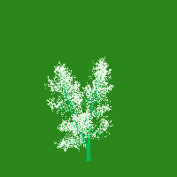 greenshift tree