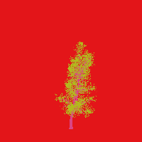 greenshift tree