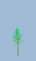 greenshift tree