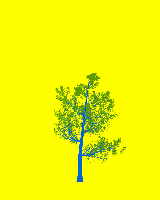 greenshift tree