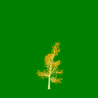 greenshift tree