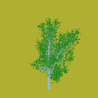 greenshift tree