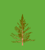 greenshift tree