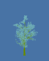 greenshift tree