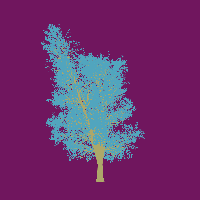 greenshift tree