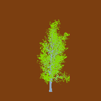 greenshift tree