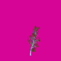 greenshift tree