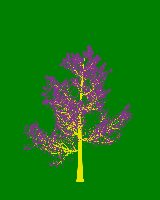 greenshift tree