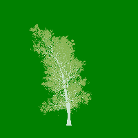 greenshift tree