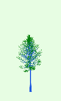 greenshift tree