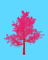 greenshift tree