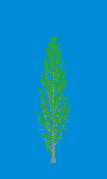 greenshift tree