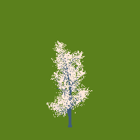 greenshift tree
