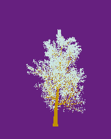 greenshift tree