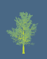 greenshift tree