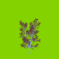 greenshift tree