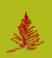 greenshift tree