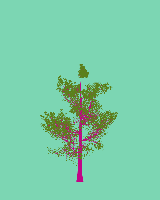 greenshift tree