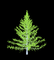 greenshift tree