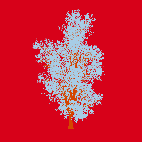 greenshift tree
