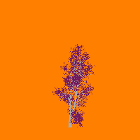 greenshift tree