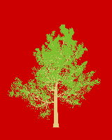 greenshift tree
