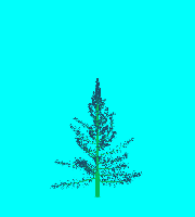 greenshift tree